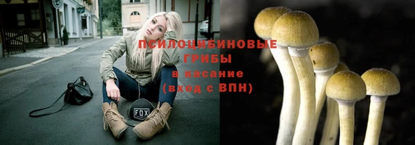 прущие крисы Арсеньев