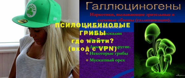 прущие крисы Арсеньев